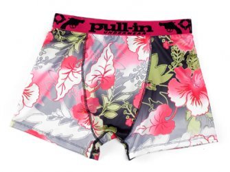 fashion_crocus